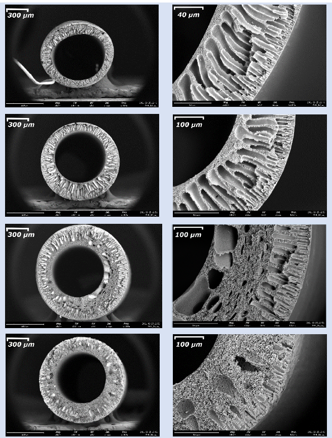 Изображения изготовленных на манипуляторе образцов половолоконных мембран // T.Anokhina et al / Membranes, 2021