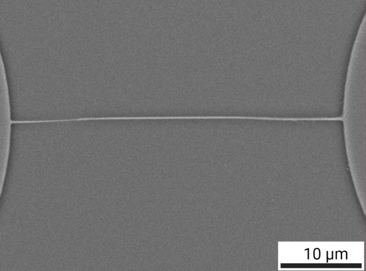 Изображение кремниевой нанопроволоки толщиной 0.4 микрометра, используемой в качестве основы биосенсора. Фото: Talanta, 2022, 123092