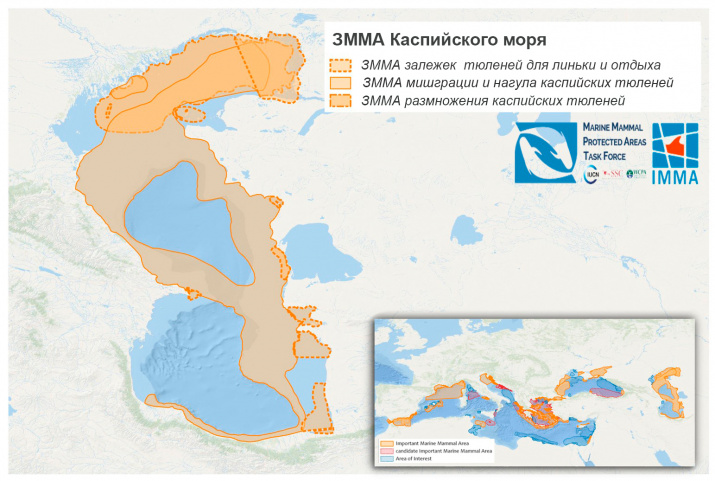 Три значимые для морских млекопитающих акватории на Каспии. По материалам сайта Института проблем экологии и эволюции имени Северцова. Источник: rgo.ru