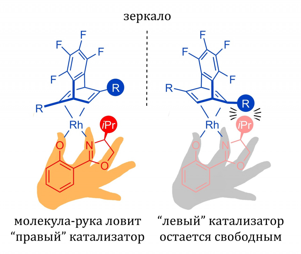 Рисунок, показывающий избирательное связывание молекулы-руки с одной из форм катализатора // Дмитрий Перекалин